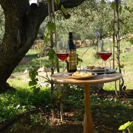 컨트리하우스 Casa Rural Delta Del Ebro Ecoturismo *