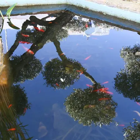 컨트리하우스 Casa Rural Delta Del Ebro Ecoturismo *