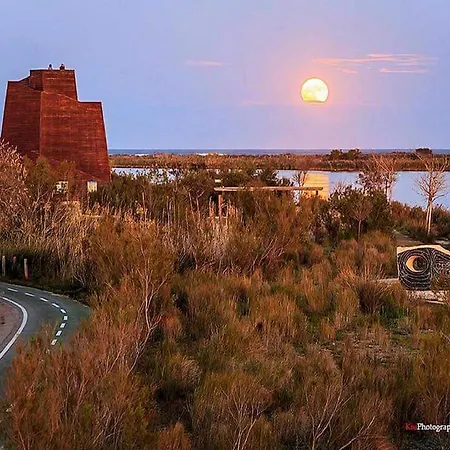 Delta Del Ebro Ecoturismo 乡村民宿 卡马尔莱斯