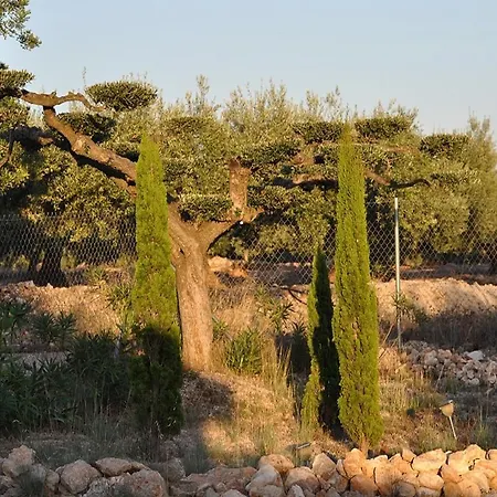 Casa Rural Delta Del Ebro Ecoturismo * Camarles