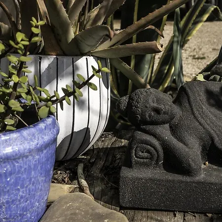 乡村民宿 Delta Del Ebro Ecoturismo