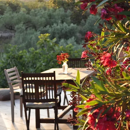 Delta Del Ebro Ecoturismo 卡马尔莱斯