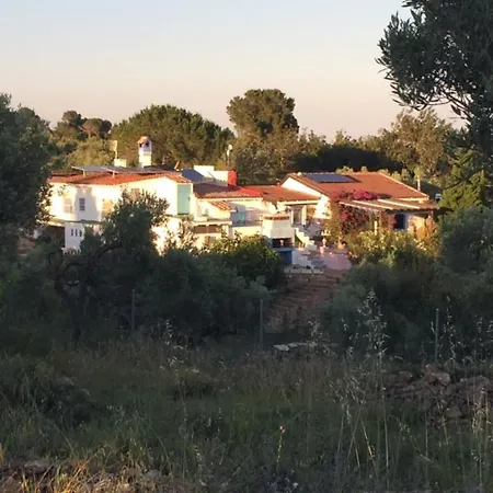 Landhuis Casa Rural Delta Del Ebro Ecoturismo Camarles