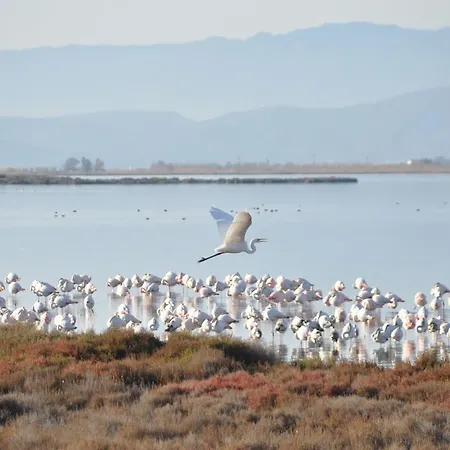 Delta Del Ebro Ecoturismo * Camarles