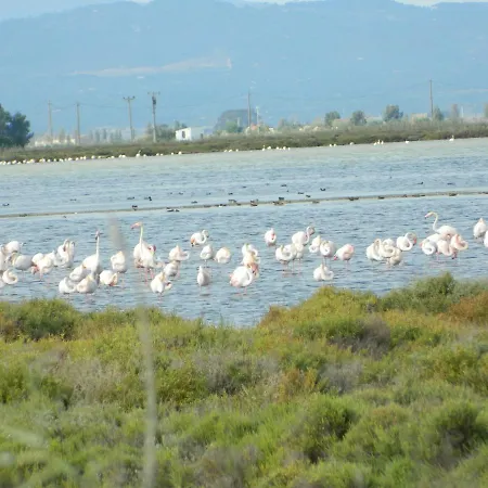 Casa Rural Delta Del Ebro Ecoturismo