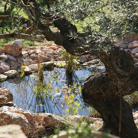 Delta Del Ebro Ecoturismo Casa rural