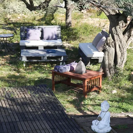 Delta Del Ebro Ecoturismo